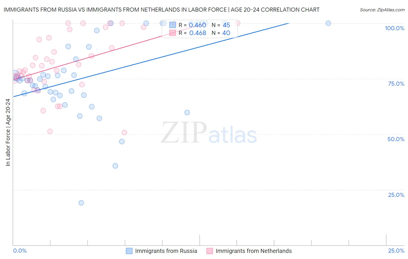 Immigrants from Russia vs Immigrants from Netherlands In Labor Force | Age 20-24
