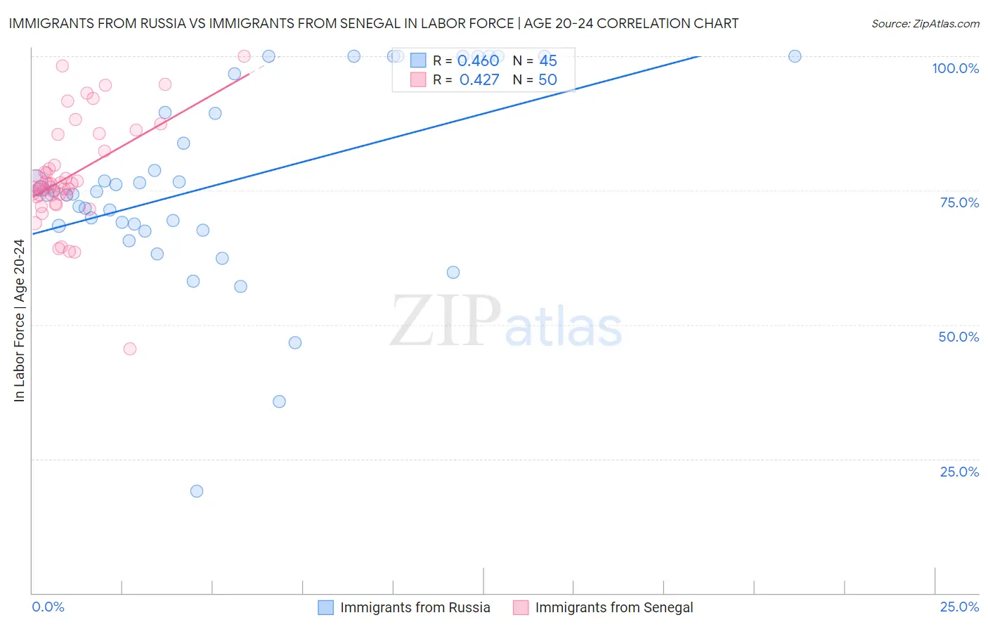 Immigrants from Russia vs Immigrants from Senegal In Labor Force | Age 20-24