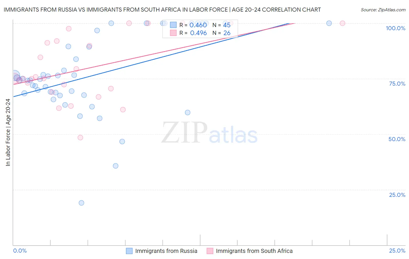 Immigrants from Russia vs Immigrants from South Africa In Labor Force | Age 20-24