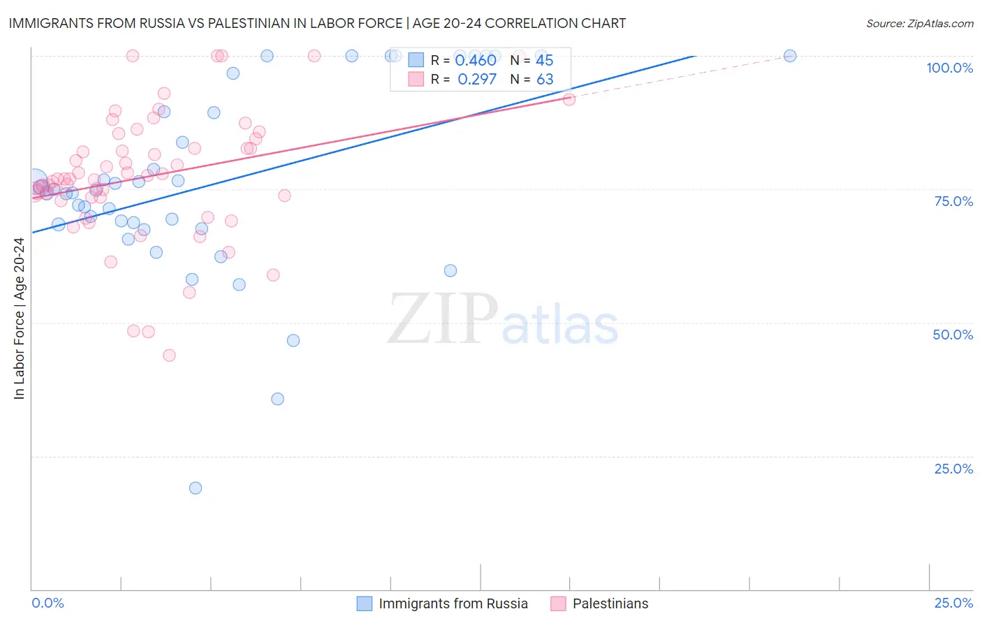 Immigrants from Russia vs Palestinian In Labor Force | Age 20-24