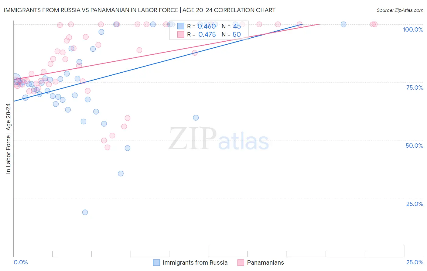 Immigrants from Russia vs Panamanian In Labor Force | Age 20-24