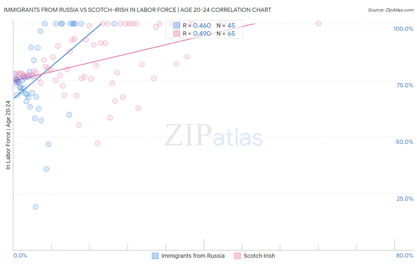 Immigrants from Russia vs Scotch-Irish In Labor Force | Age 20-24