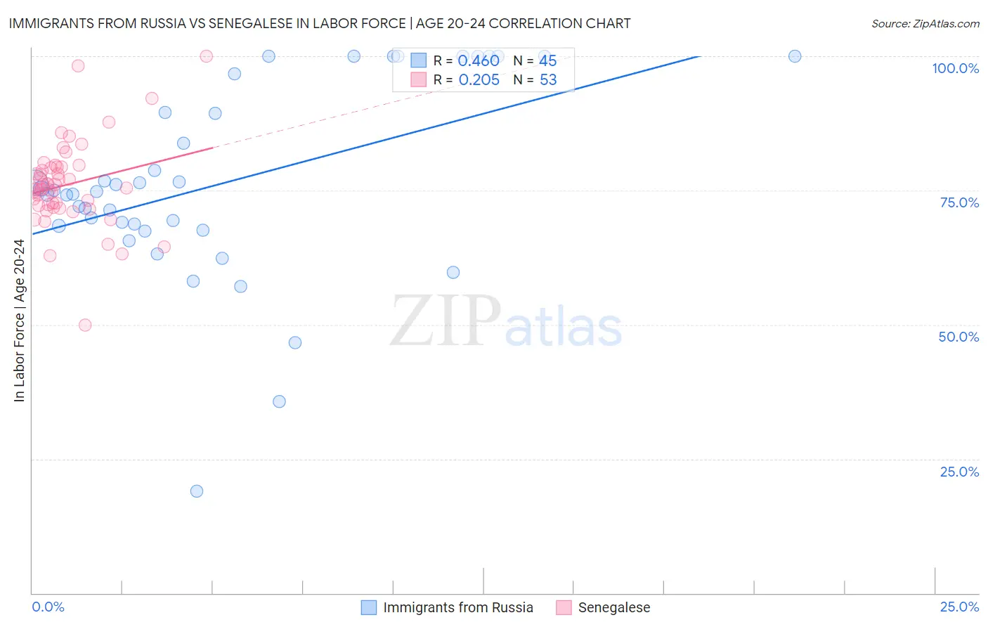Immigrants from Russia vs Senegalese In Labor Force | Age 20-24