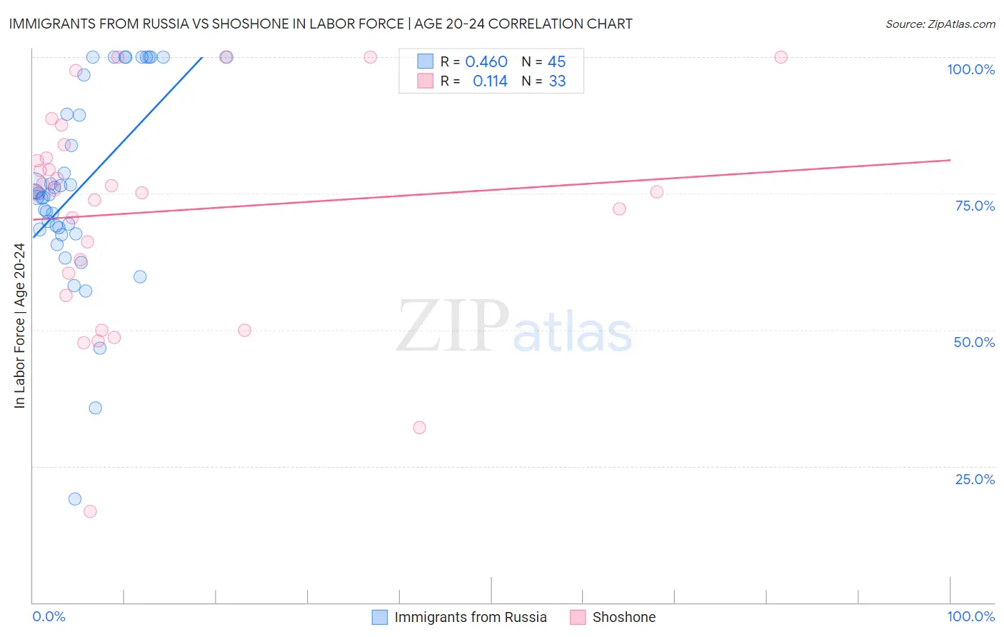 Immigrants from Russia vs Shoshone In Labor Force | Age 20-24