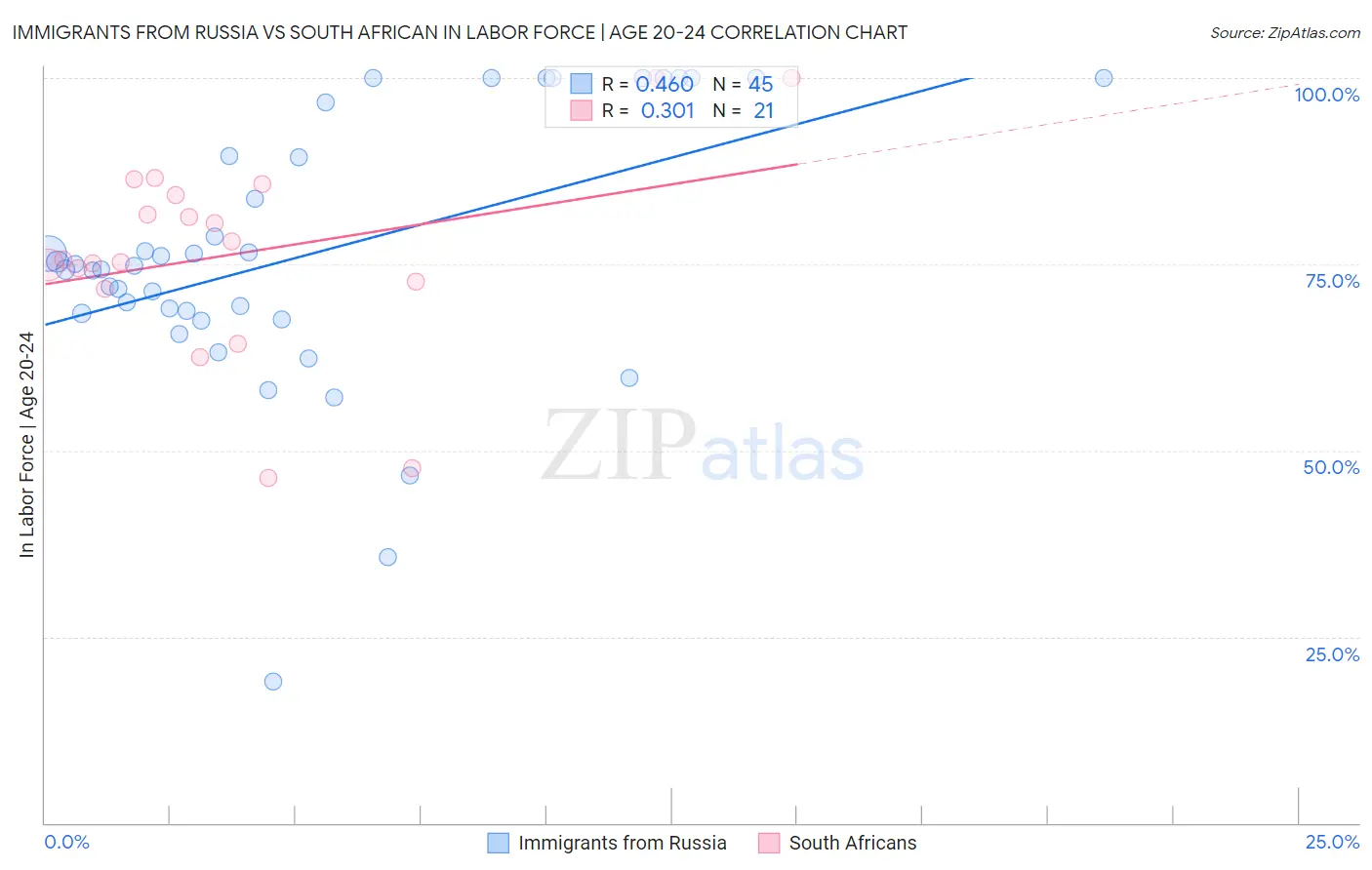 Immigrants from Russia vs South African In Labor Force | Age 20-24