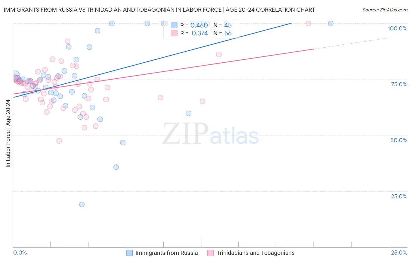 Immigrants from Russia vs Trinidadian and Tobagonian In Labor Force | Age 20-24