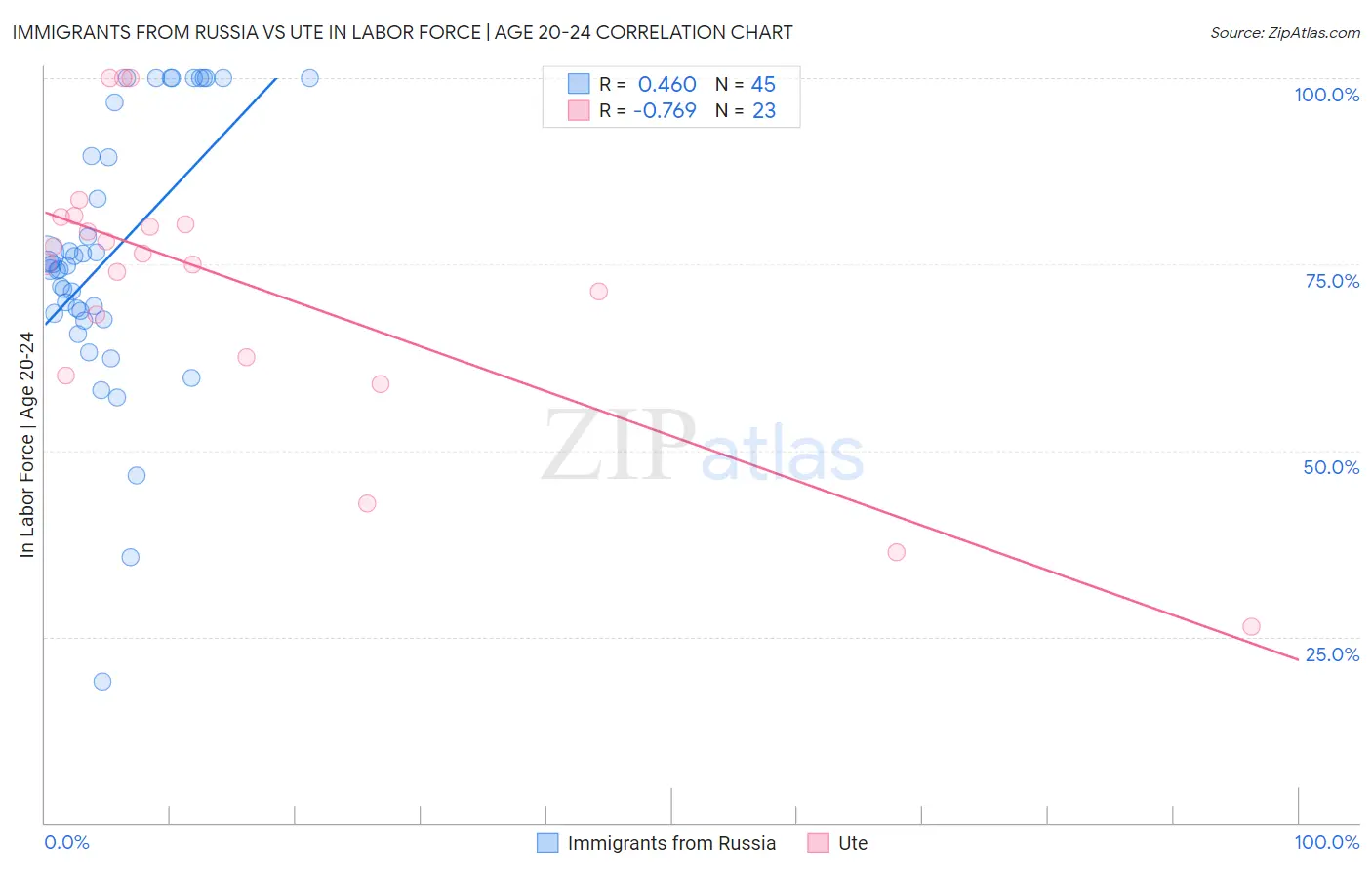 Immigrants from Russia vs Ute In Labor Force | Age 20-24