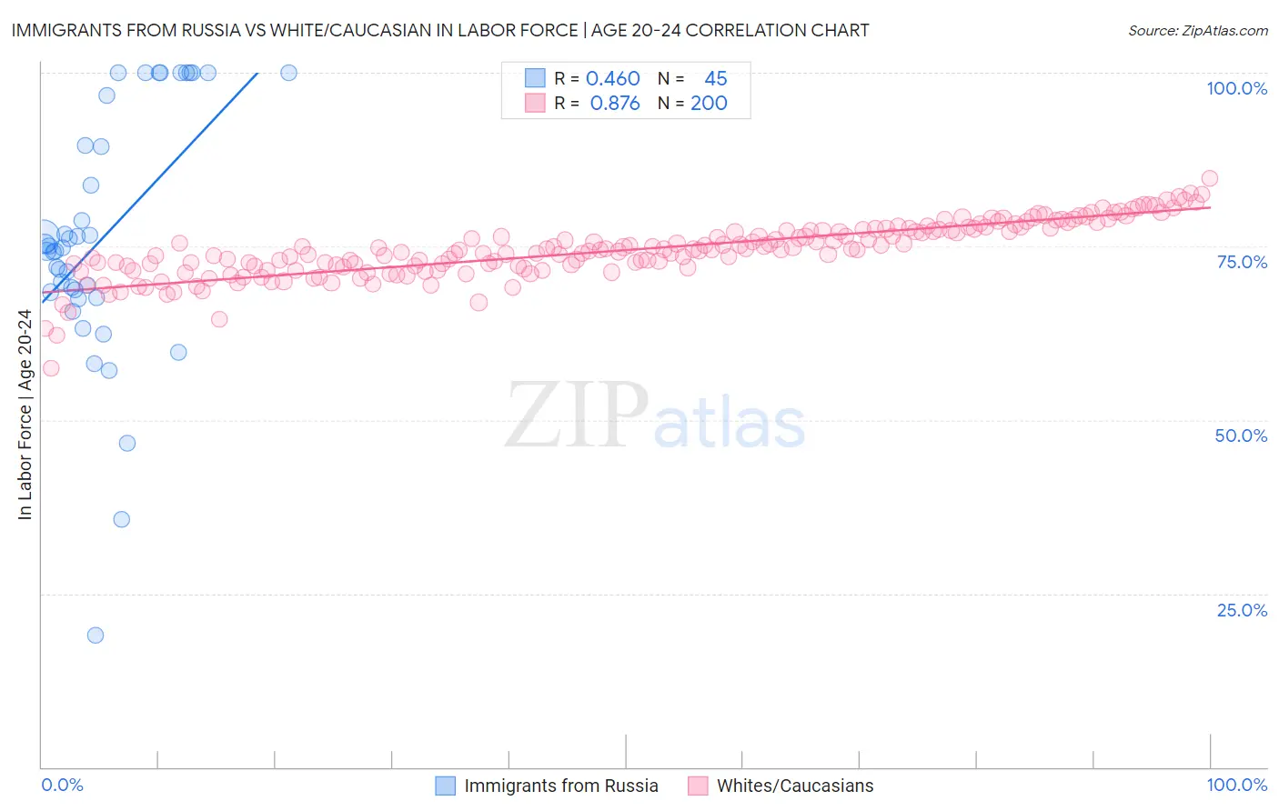 Immigrants from Russia vs White/Caucasian In Labor Force | Age 20-24