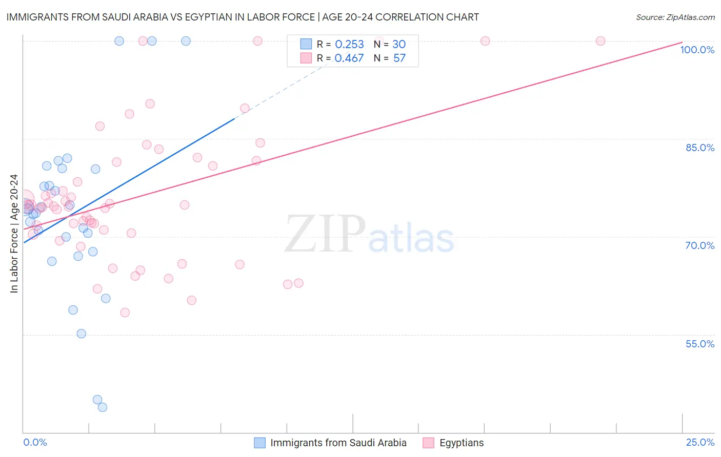 Immigrants from Saudi Arabia vs Egyptian In Labor Force | Age 20-24