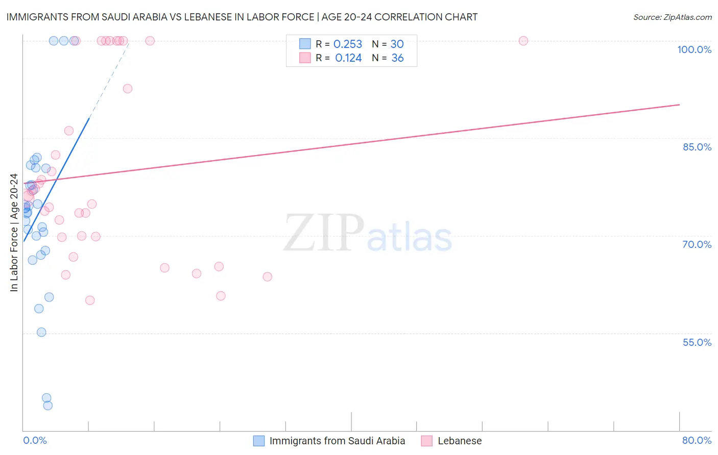 Immigrants from Saudi Arabia vs Lebanese In Labor Force | Age 20-24