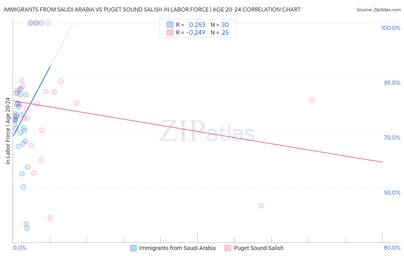 Immigrants from Saudi Arabia vs Puget Sound Salish In Labor Force | Age 20-24