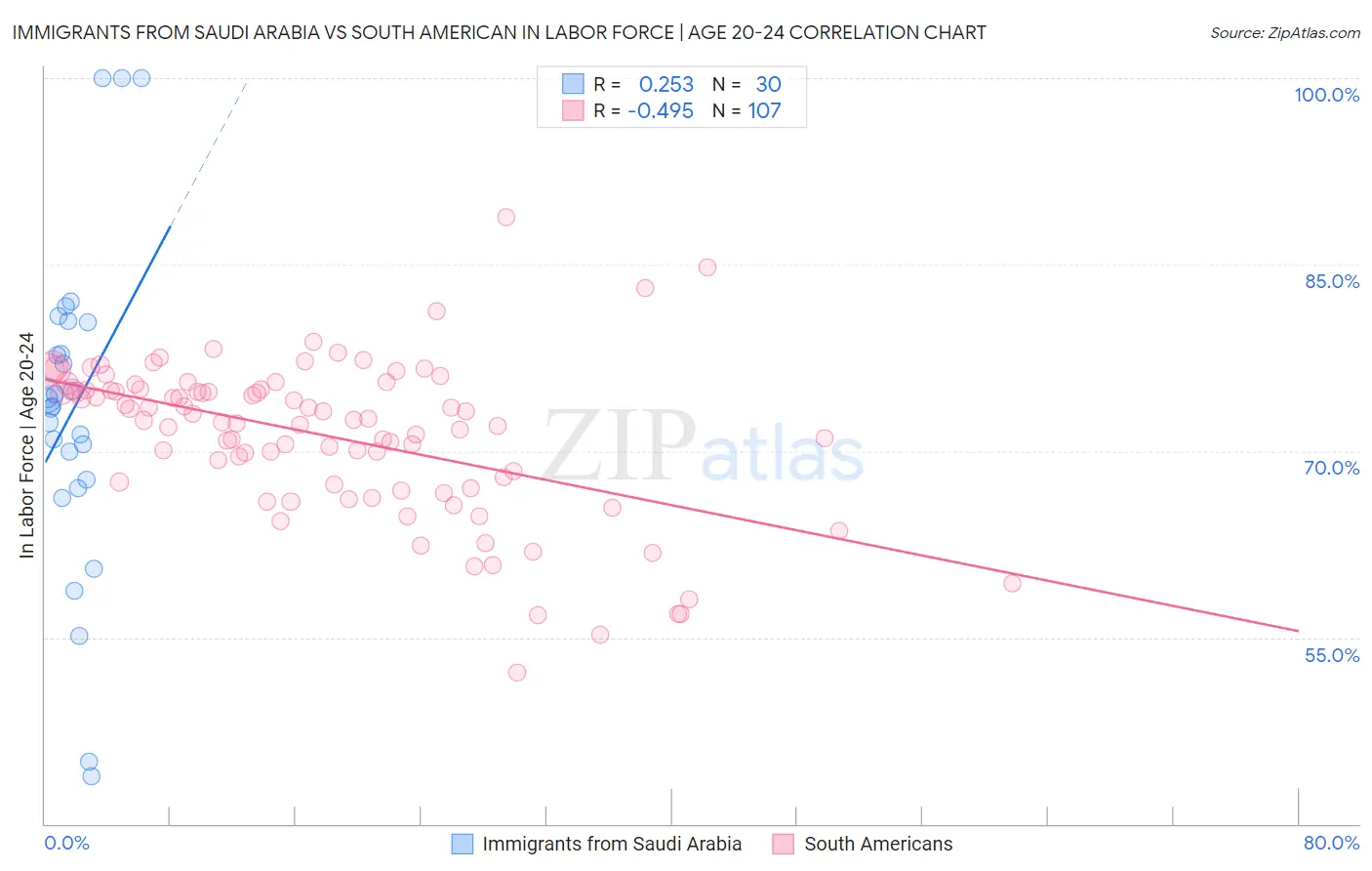 Immigrants from Saudi Arabia vs South American In Labor Force | Age 20-24