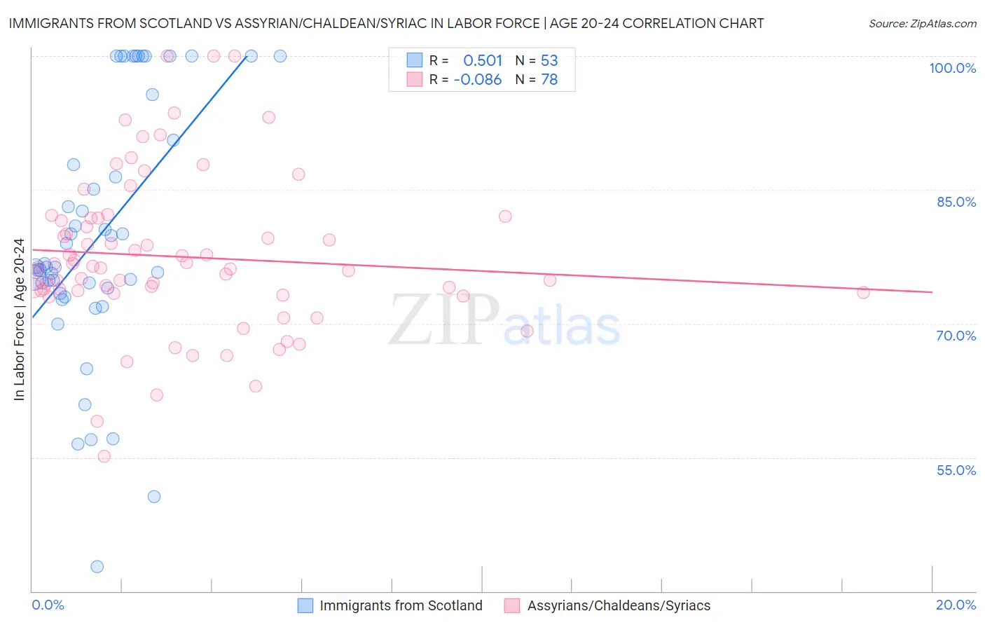 Immigrants from Scotland vs Assyrian/Chaldean/Syriac In Labor Force | Age 20-24