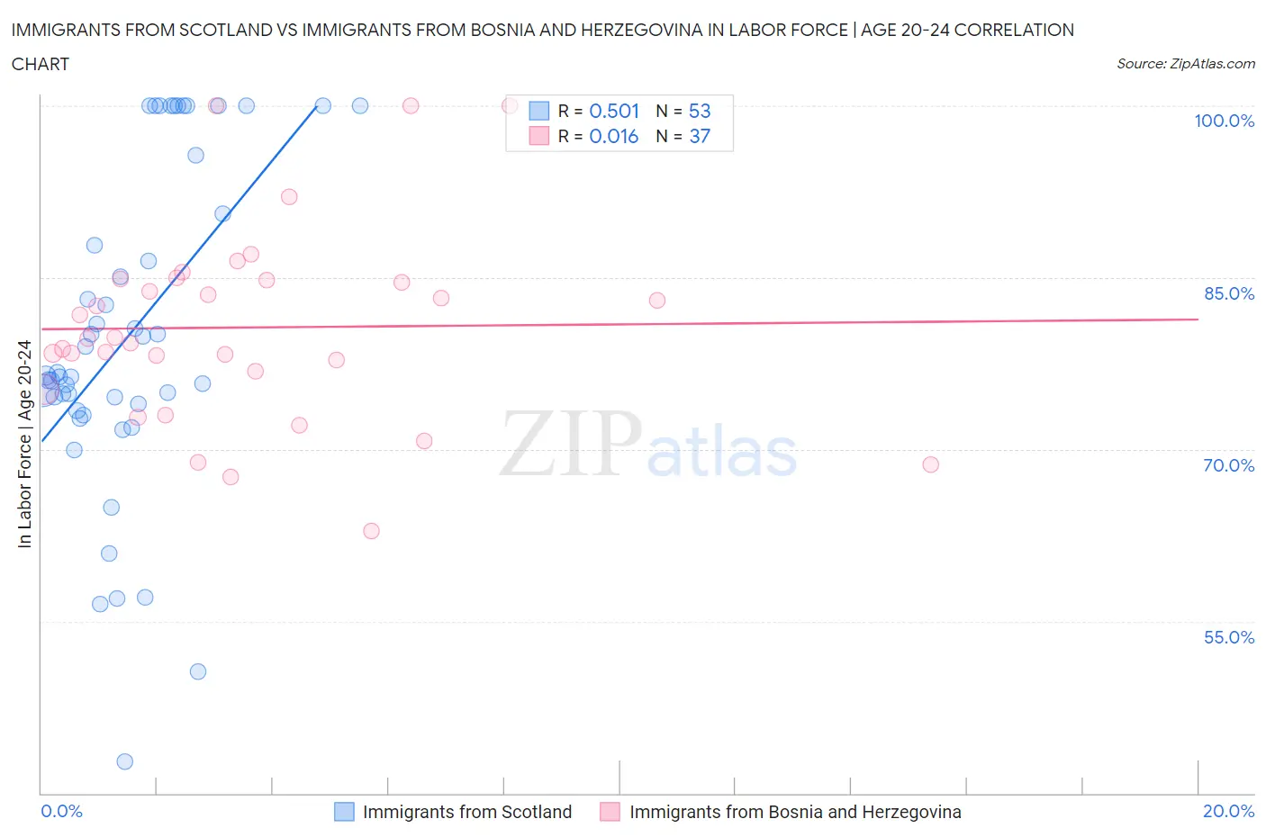 Immigrants from Scotland vs Immigrants from Bosnia and Herzegovina In Labor Force | Age 20-24