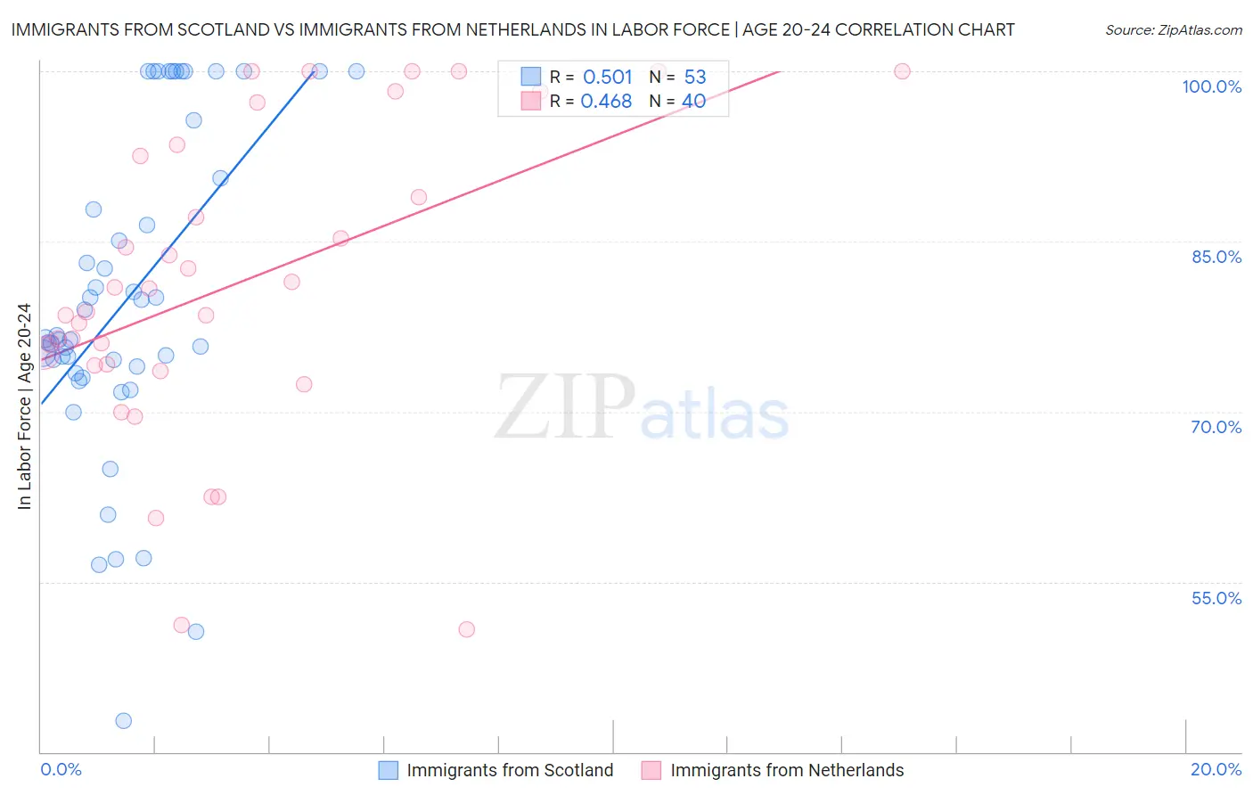 Immigrants from Scotland vs Immigrants from Netherlands In Labor Force | Age 20-24