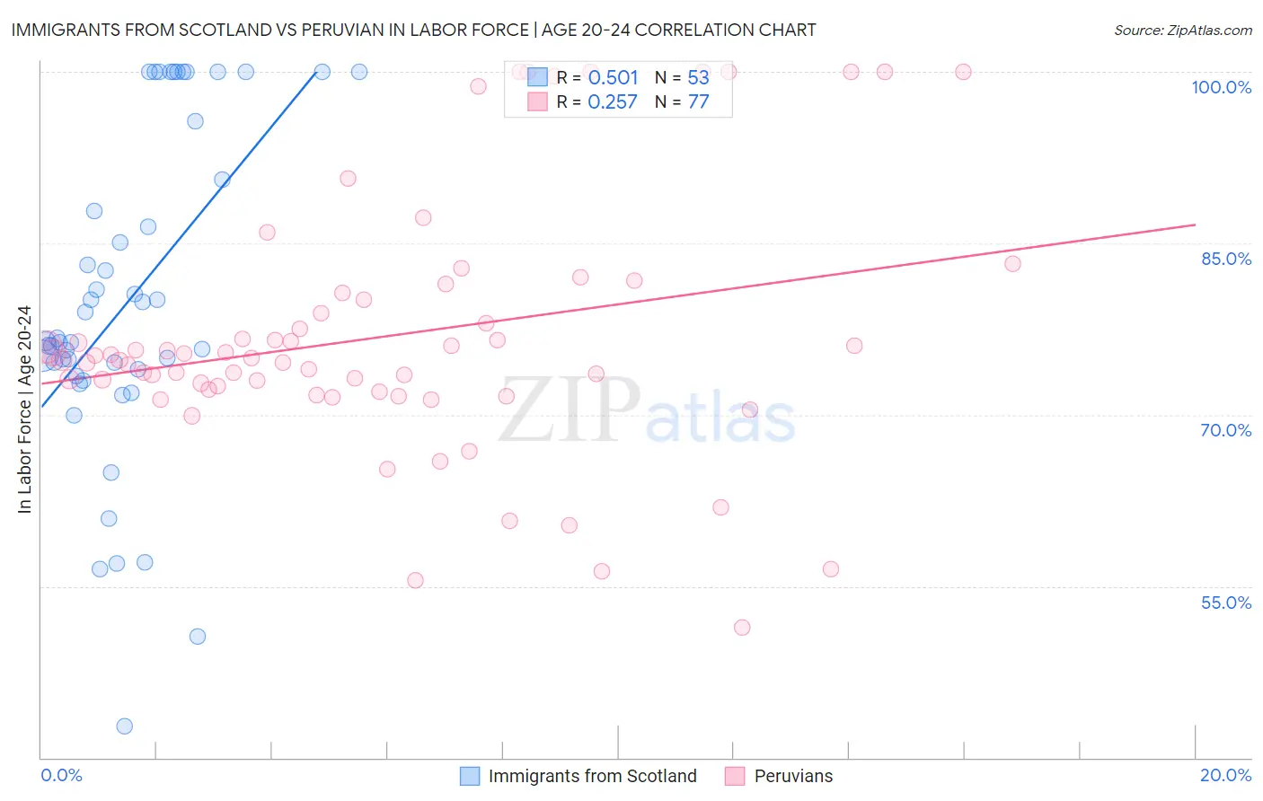 Immigrants from Scotland vs Peruvian In Labor Force | Age 20-24