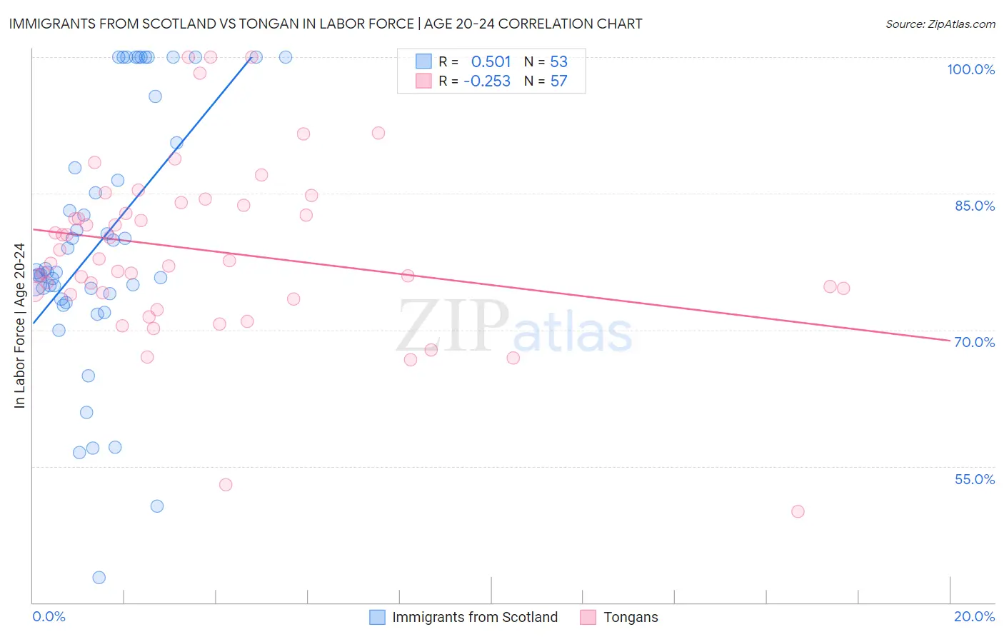 Immigrants from Scotland vs Tongan In Labor Force | Age 20-24