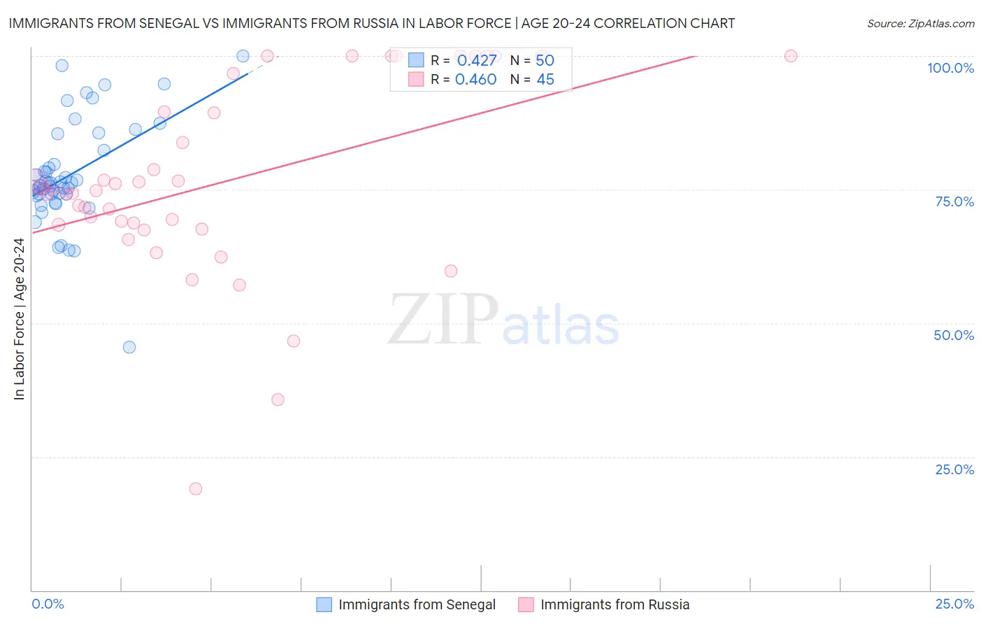 Immigrants from Senegal vs Immigrants from Russia In Labor Force | Age 20-24