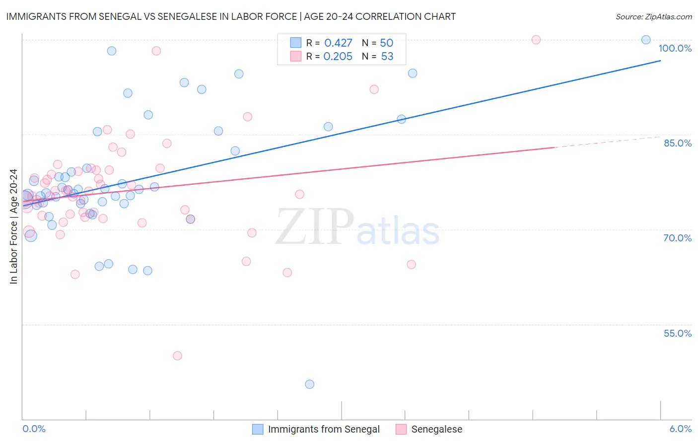 Immigrants from Senegal vs Senegalese In Labor Force | Age 20-24
