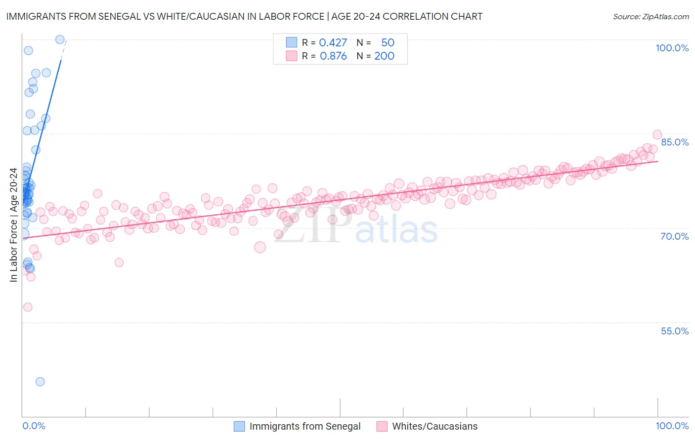 Immigrants from Senegal vs White/Caucasian In Labor Force | Age 20-24