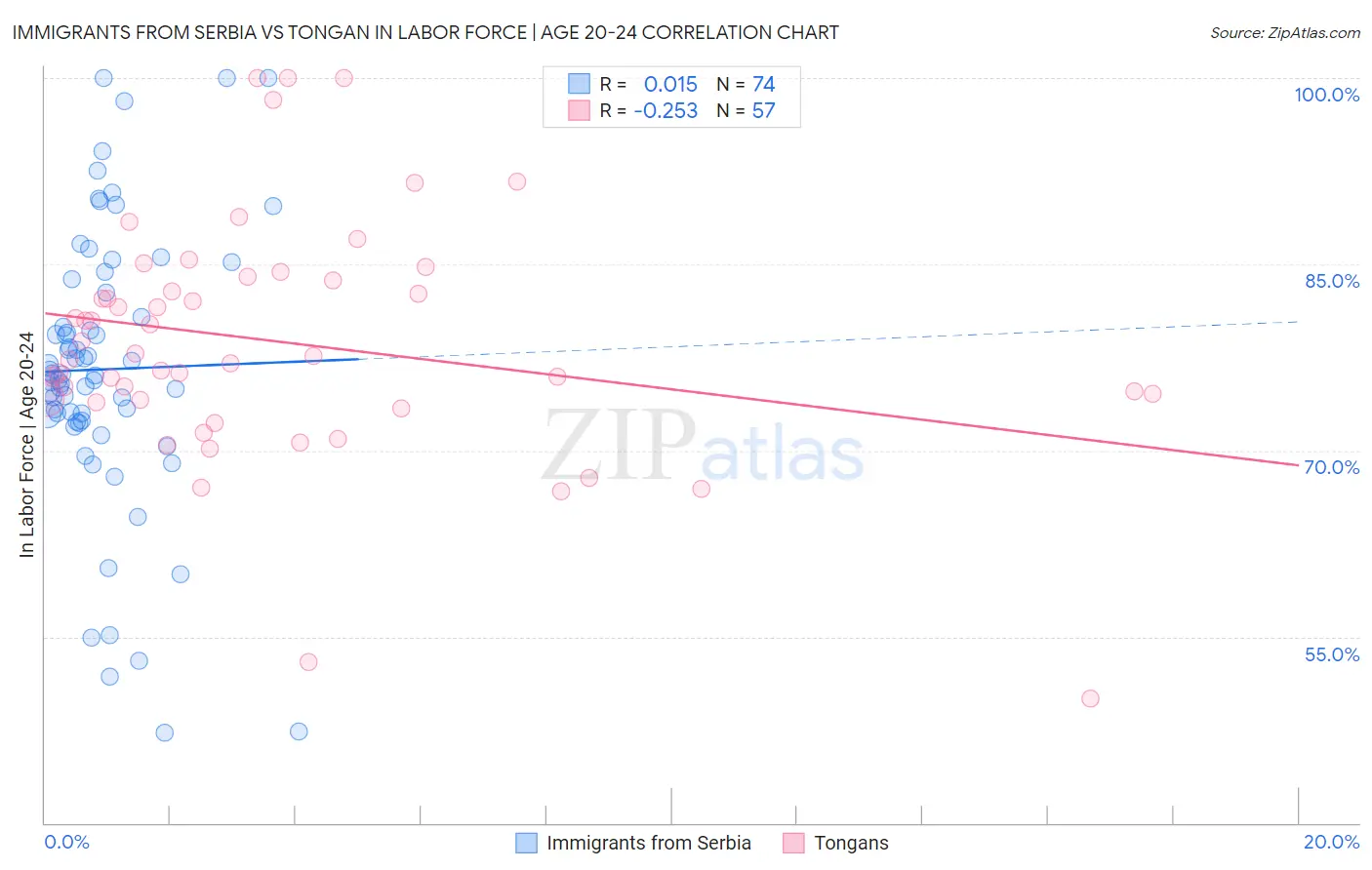 Immigrants from Serbia vs Tongan In Labor Force | Age 20-24