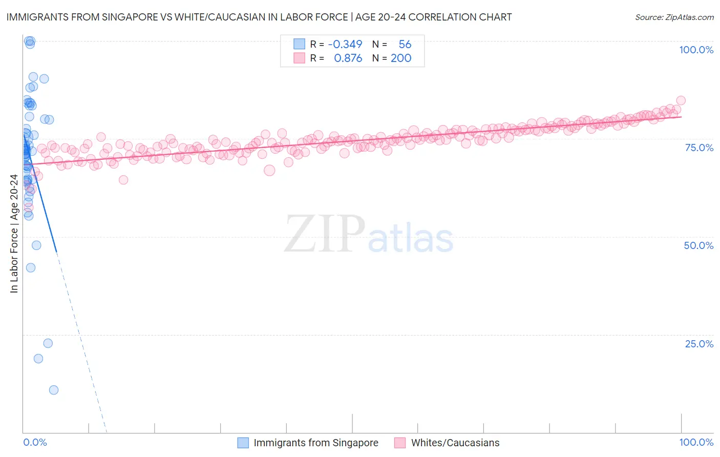Immigrants from Singapore vs White/Caucasian In Labor Force | Age 20-24