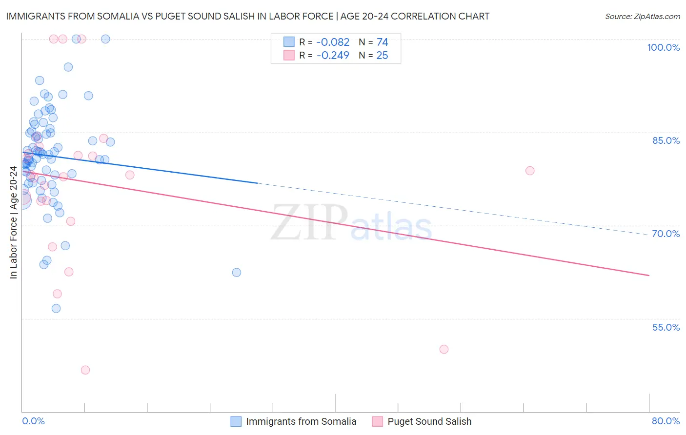 Immigrants from Somalia vs Puget Sound Salish In Labor Force | Age 20-24