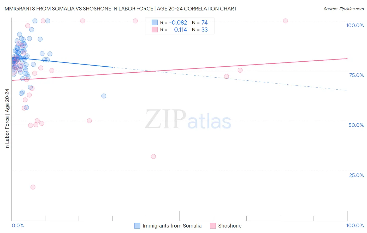 Immigrants from Somalia vs Shoshone In Labor Force | Age 20-24