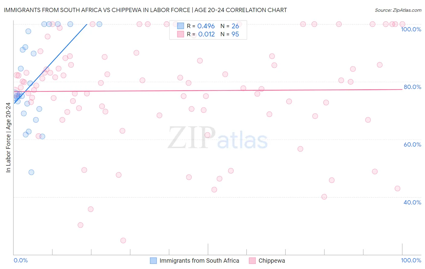 Immigrants from South Africa vs Chippewa In Labor Force | Age 20-24