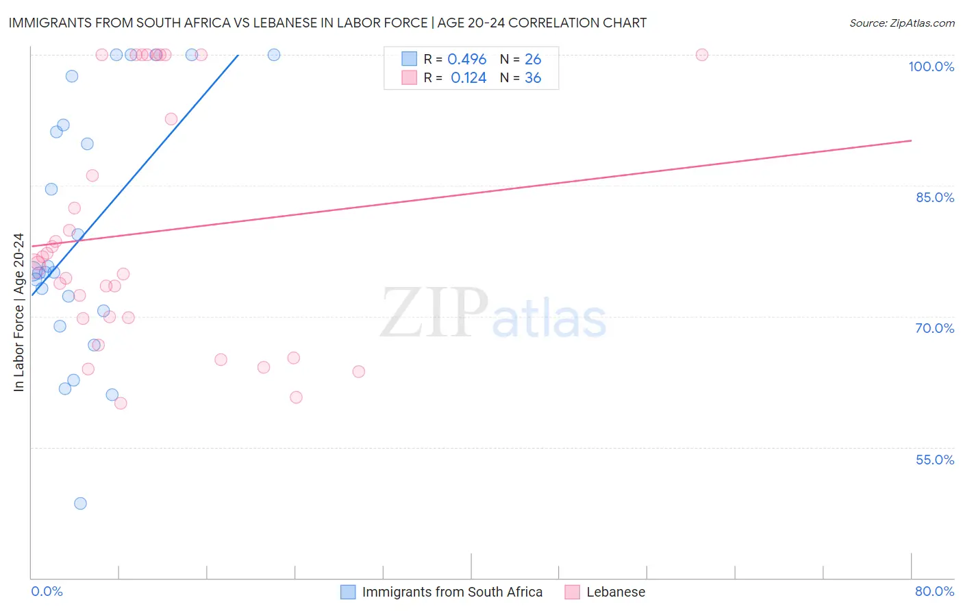 Immigrants from South Africa vs Lebanese In Labor Force | Age 20-24