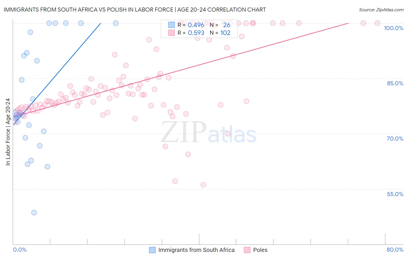 Immigrants from South Africa vs Polish In Labor Force | Age 20-24