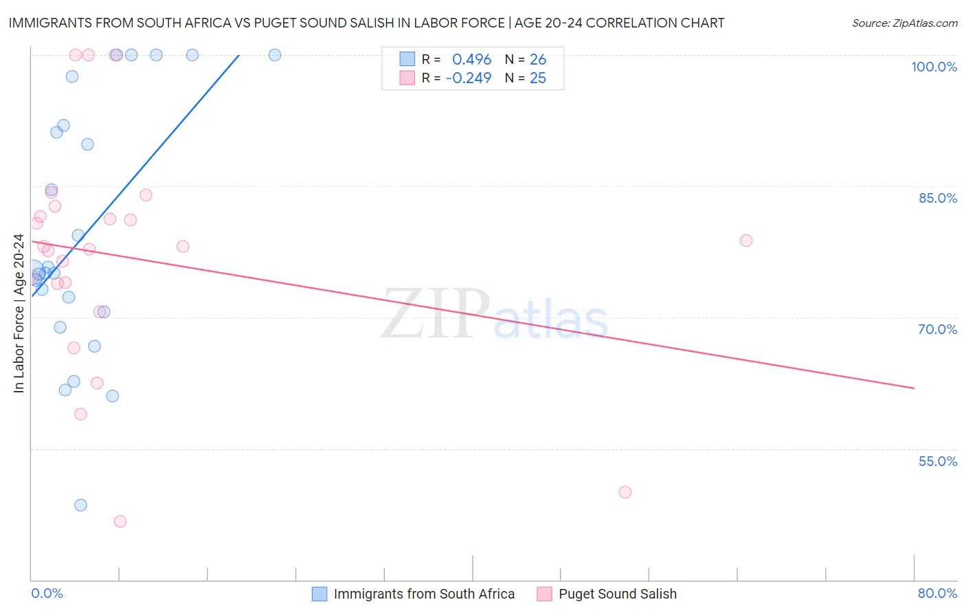 Immigrants from South Africa vs Puget Sound Salish In Labor Force | Age 20-24