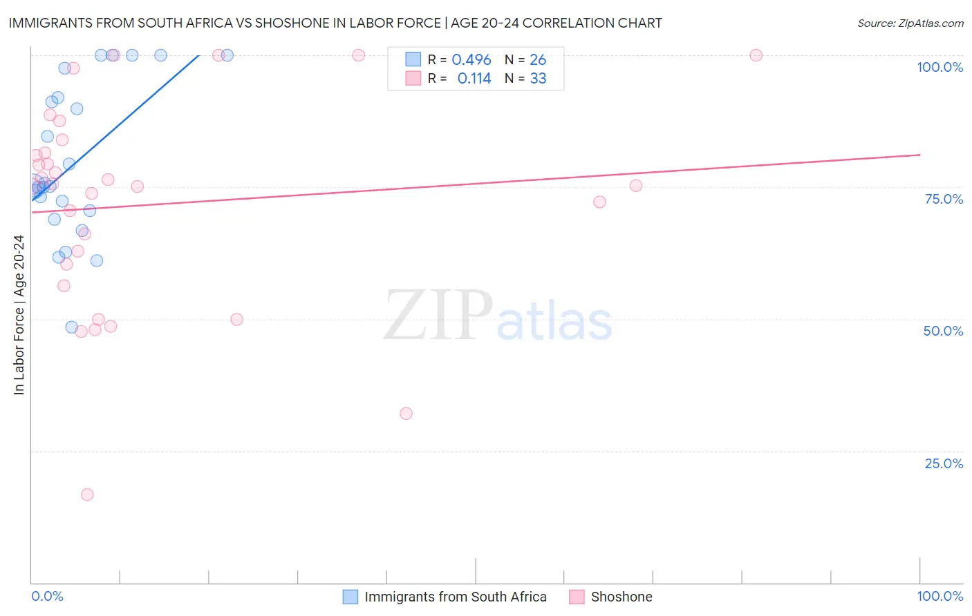Immigrants from South Africa vs Shoshone In Labor Force | Age 20-24