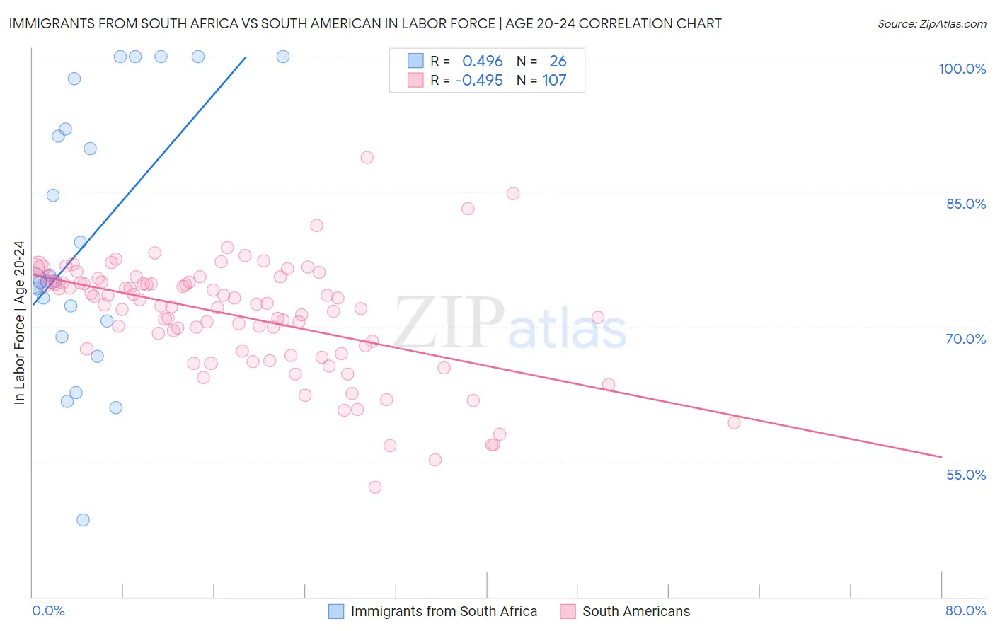 Immigrants from South Africa vs South American In Labor Force | Age 20-24