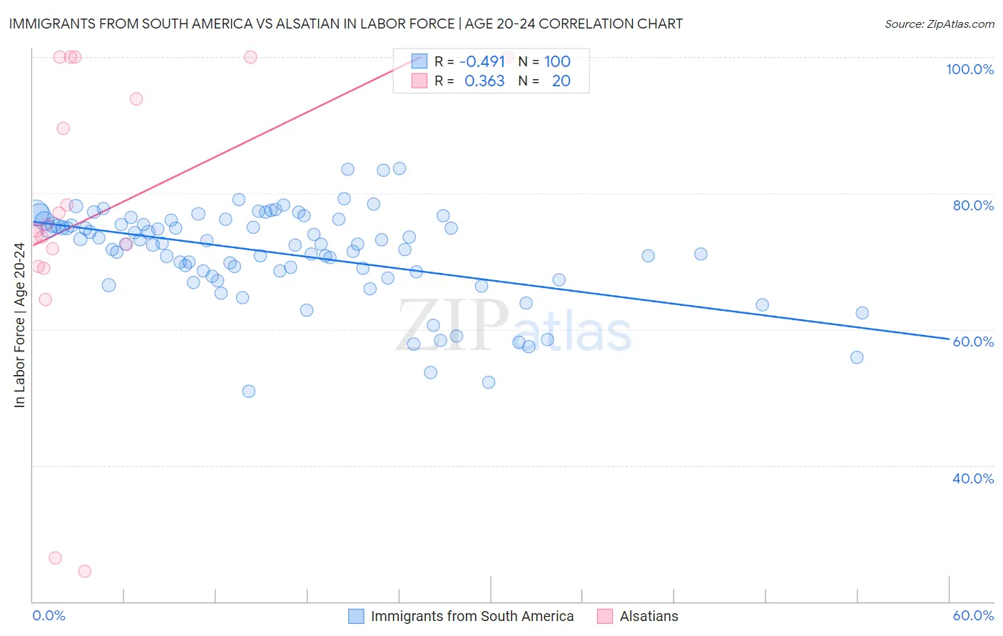 Immigrants from South America vs Alsatian In Labor Force | Age 20-24