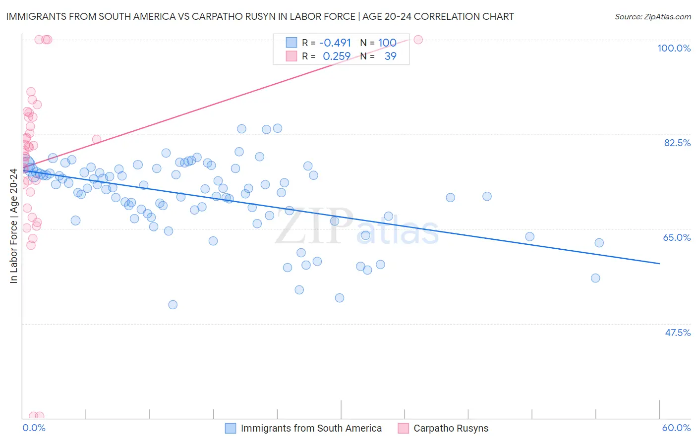 Immigrants from South America vs Carpatho Rusyn In Labor Force | Age 20-24