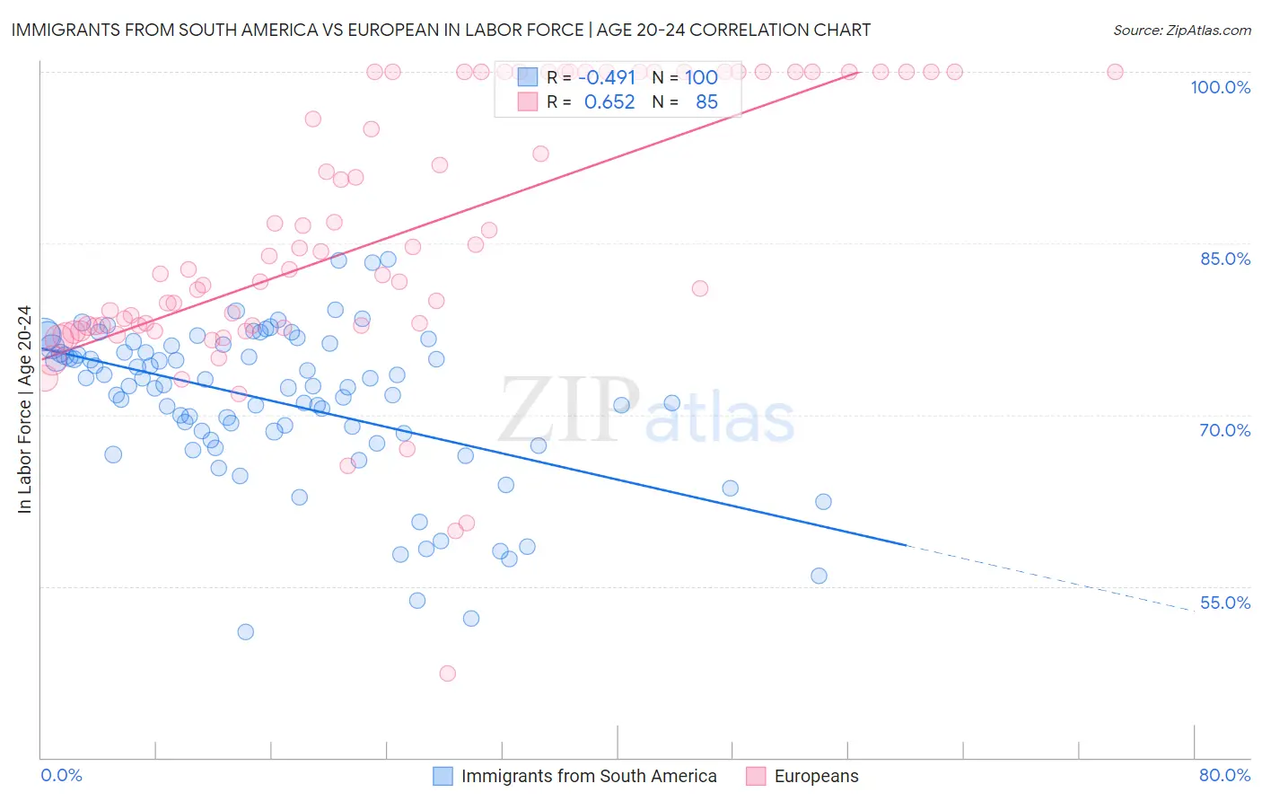 Immigrants from South America vs European In Labor Force | Age 20-24