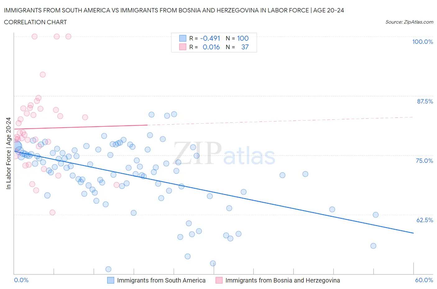 Immigrants from South America vs Immigrants from Bosnia and Herzegovina In Labor Force | Age 20-24