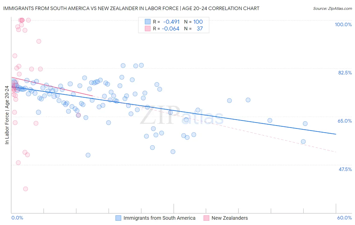 Immigrants from South America vs New Zealander In Labor Force | Age 20-24