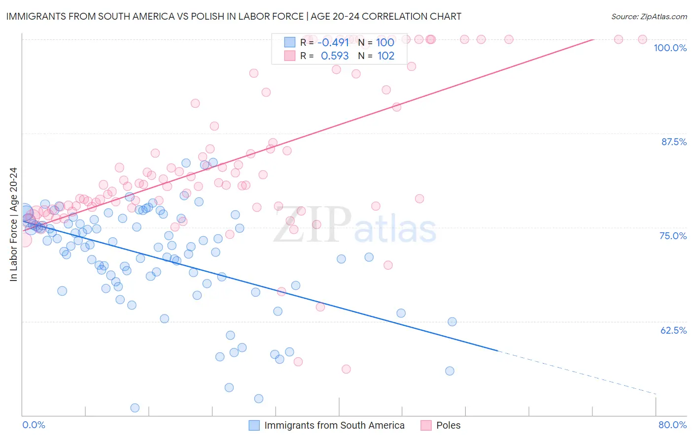 Immigrants from South America vs Polish In Labor Force | Age 20-24