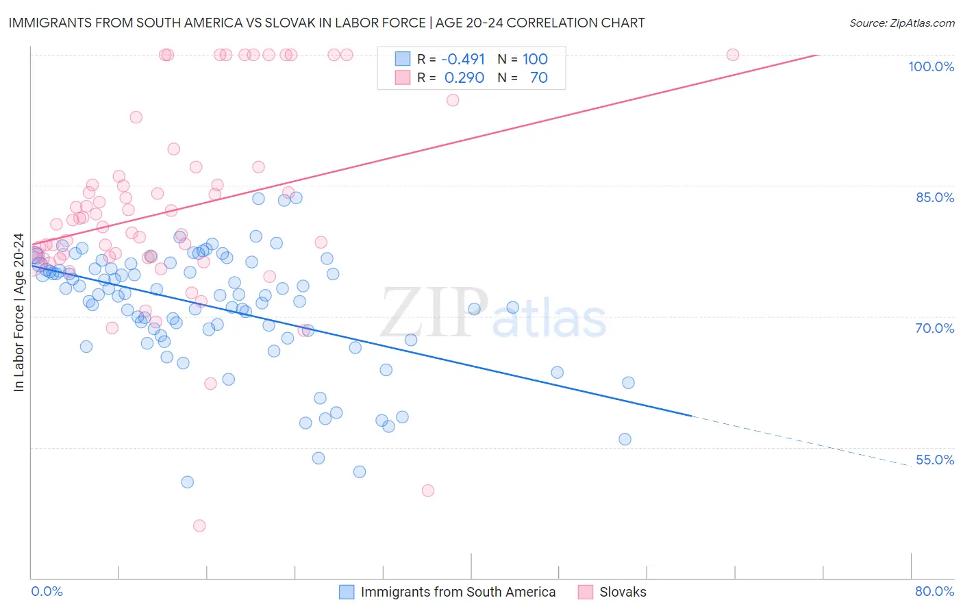 Immigrants from South America vs Slovak In Labor Force | Age 20-24