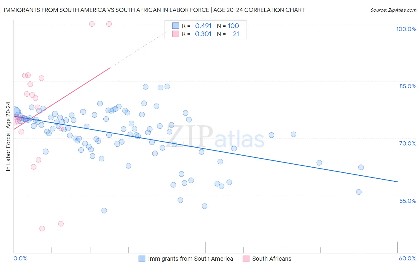 Immigrants from South America vs South African In Labor Force | Age 20-24