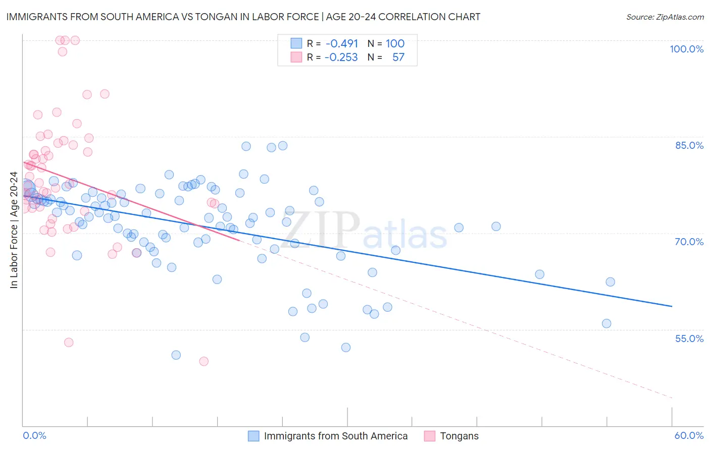 Immigrants from South America vs Tongan In Labor Force | Age 20-24