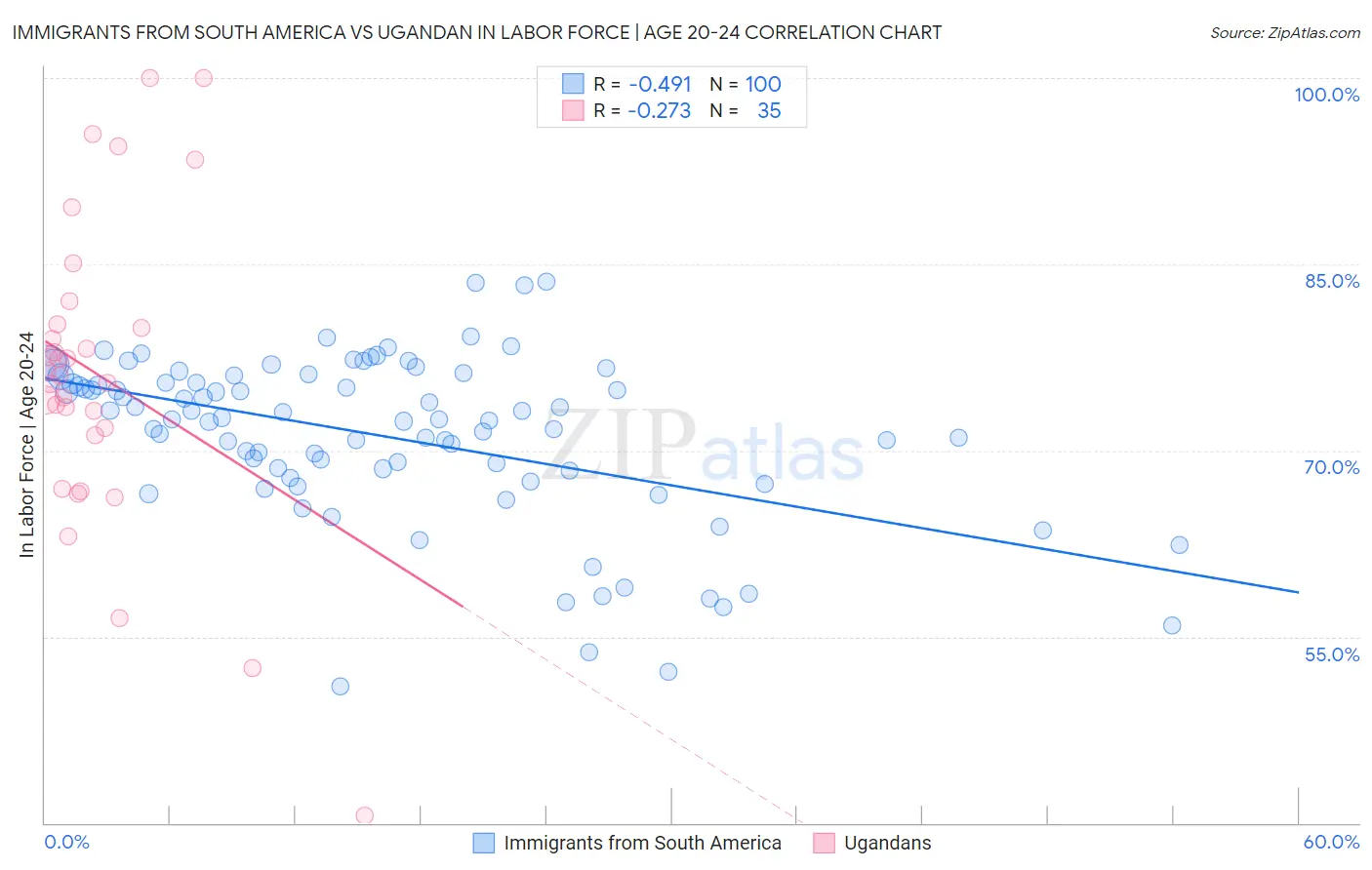 Immigrants from South America vs Ugandan In Labor Force | Age 20-24