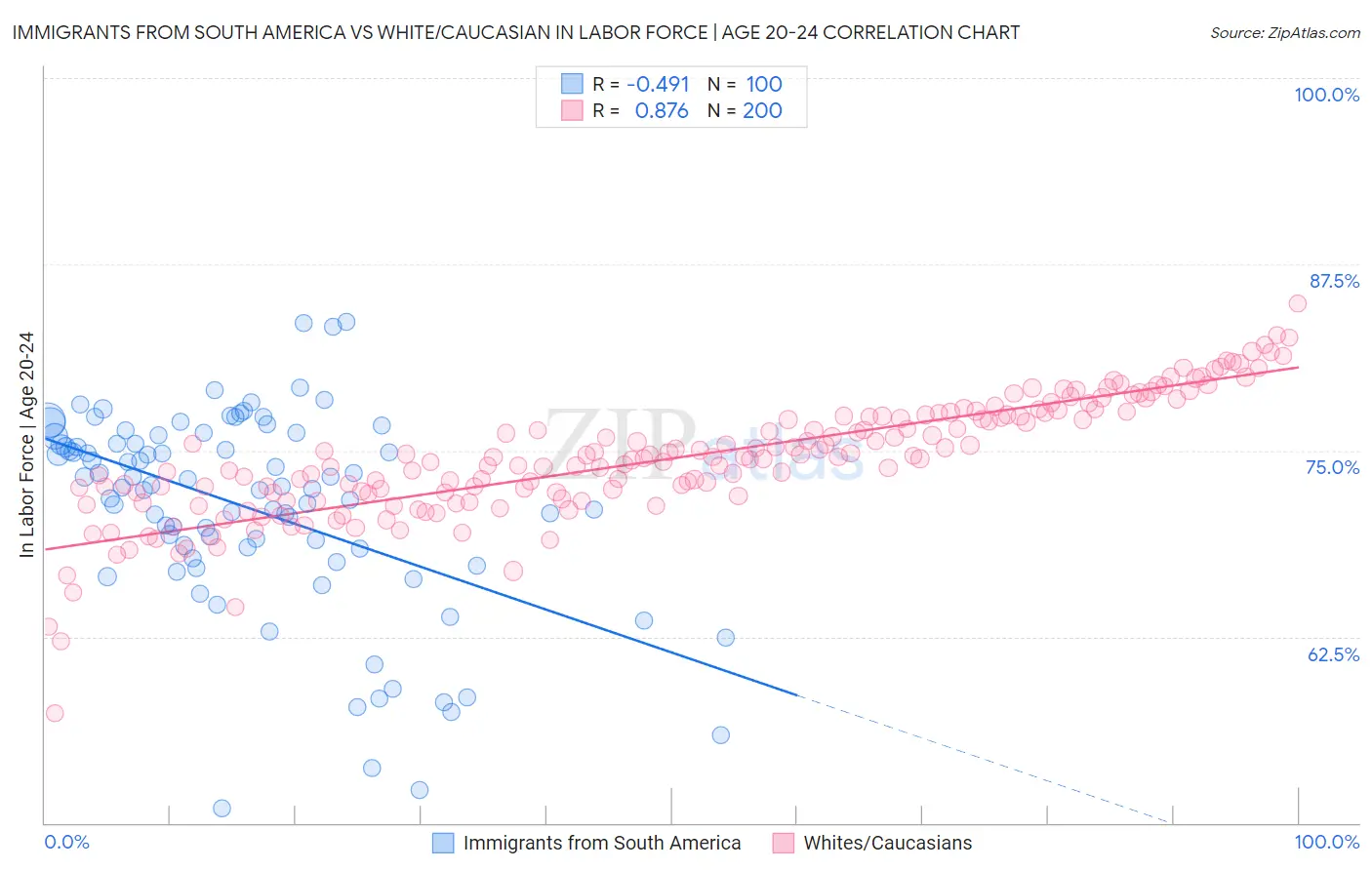 Immigrants from South America vs White/Caucasian In Labor Force | Age 20-24