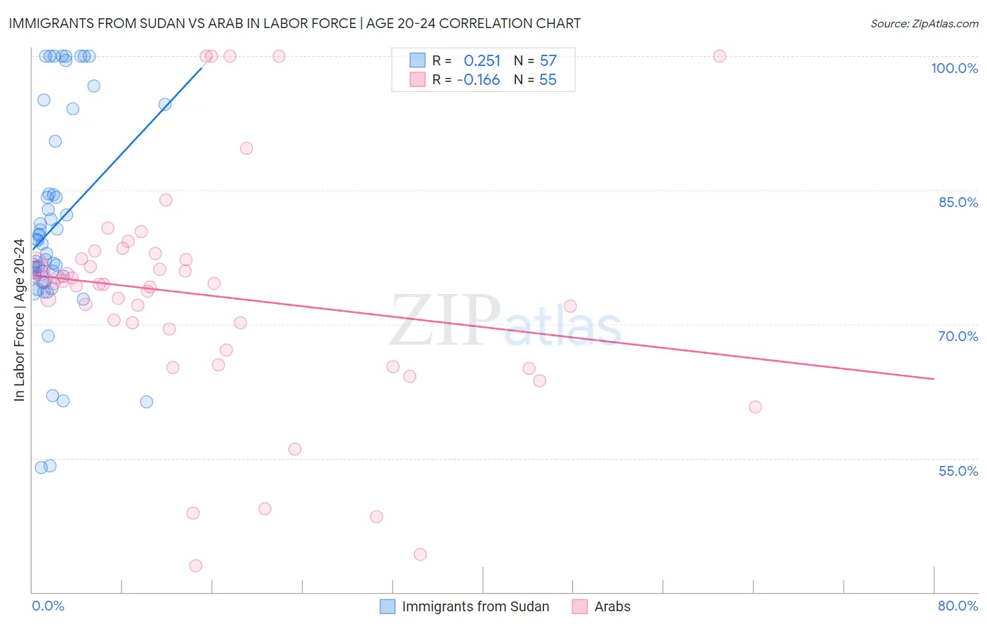 Immigrants from Sudan vs Arab In Labor Force | Age 20-24
