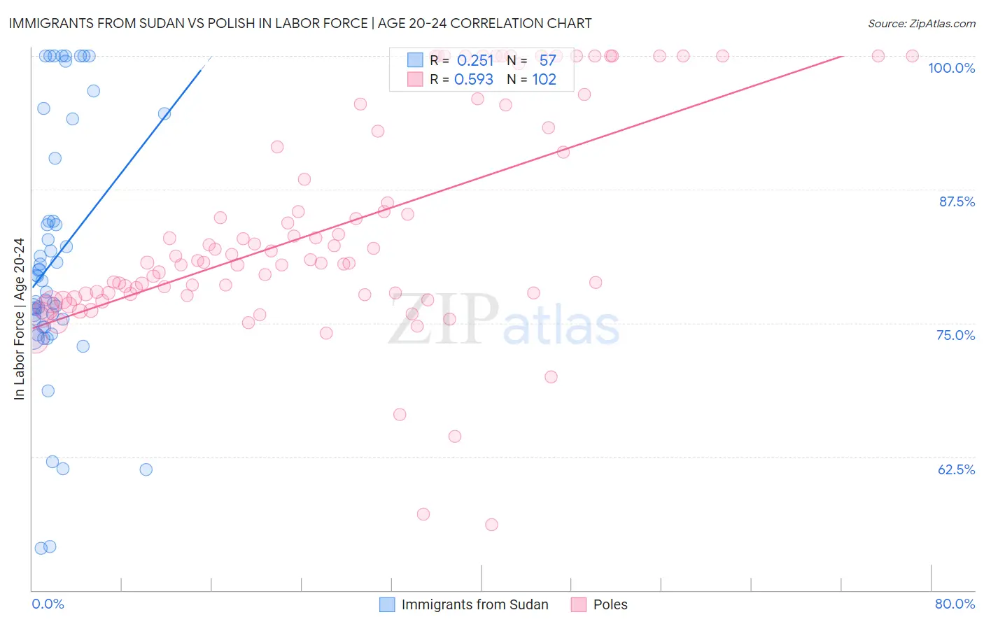 Immigrants from Sudan vs Polish In Labor Force | Age 20-24