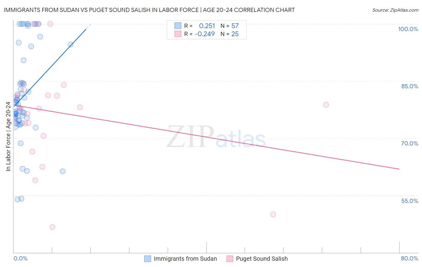 Immigrants from Sudan vs Puget Sound Salish In Labor Force | Age 20-24