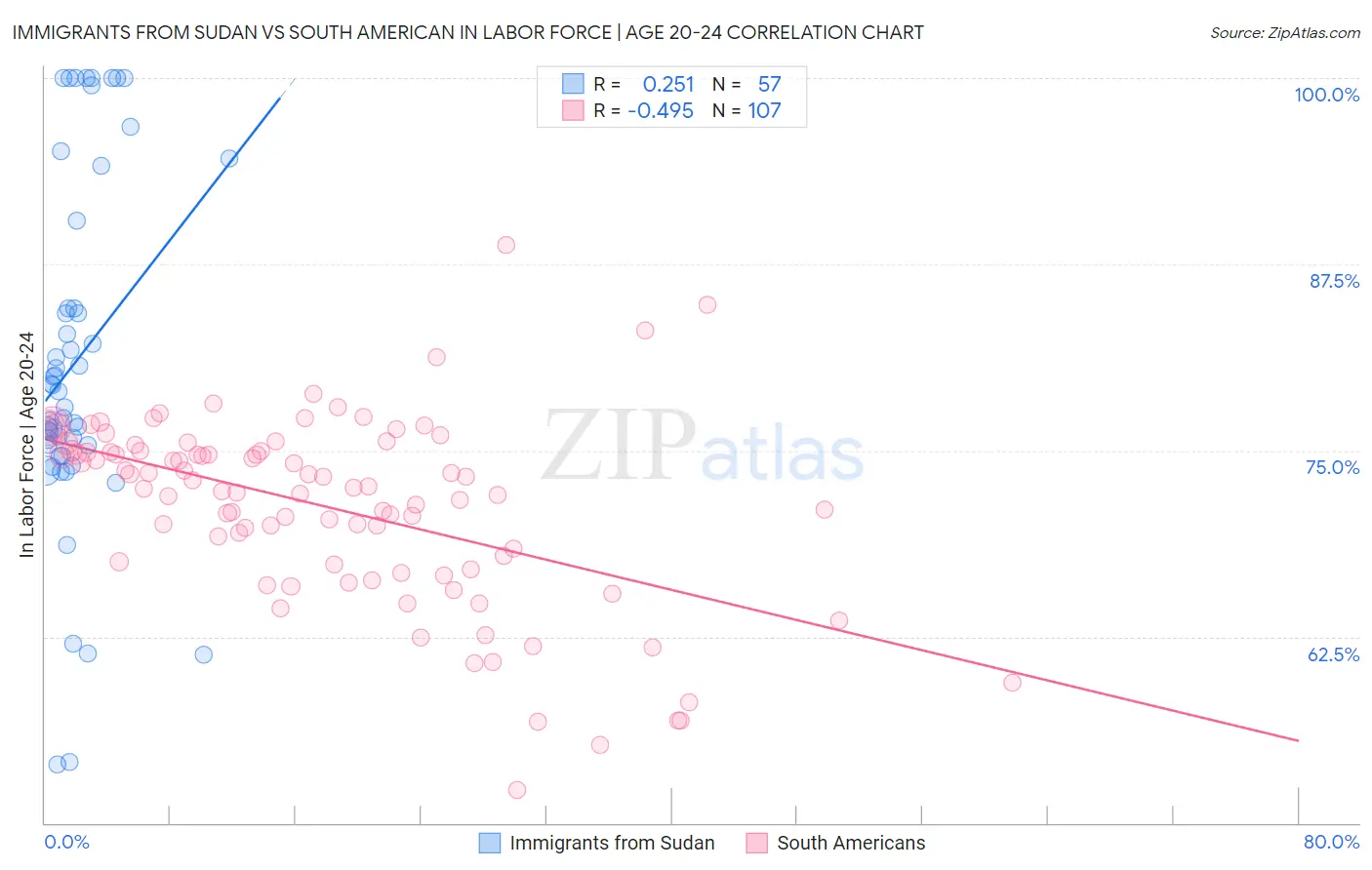 Immigrants from Sudan vs South American In Labor Force | Age 20-24