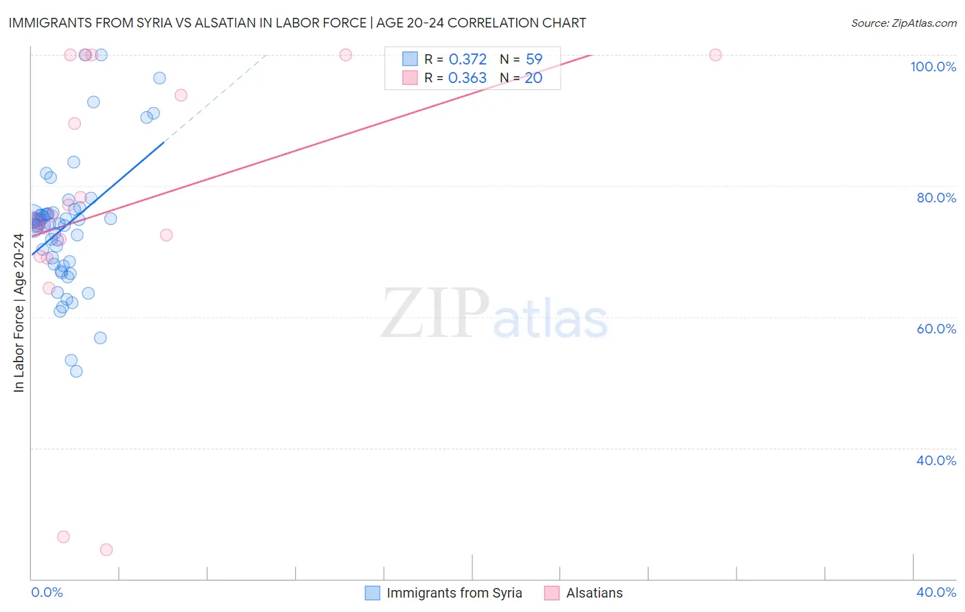 Immigrants from Syria vs Alsatian In Labor Force | Age 20-24